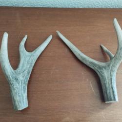 2 BOIS CERF 27/26CM COUTELLERIE BRICOLAGE CHIEN ARTISANAT