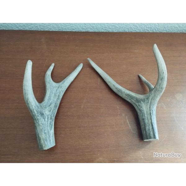 2 BOIS CERF 27/26CM COUTELLERIE BRICOLAGE CHIEN ARTISANAT