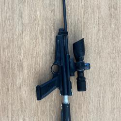 Crosman 2250 XL ratcatcher avec lunette 2.5-10, laser et crosse AR15