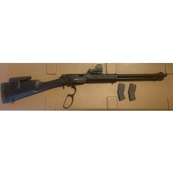 Derya tm 22 la + holosun hs 510c