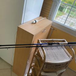 Canne Daiwa N'ZON power feeder 100gr