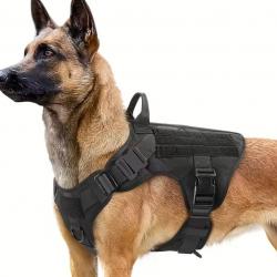 gilet tactique canin