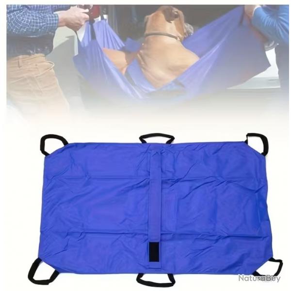 Civire d'urgence canin.