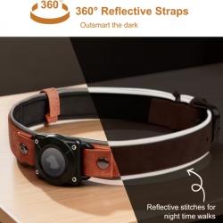 Collier pour Chien AirTag