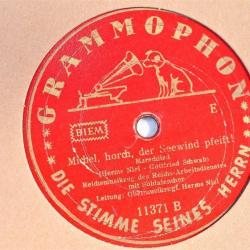 Disque militaire 25 cm CHANTS DE MARCHE der Seewind pfeift époque WWII