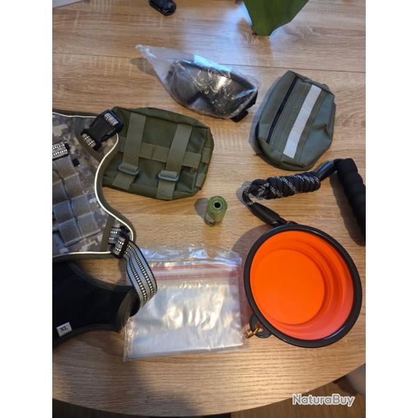 Kit pour promenade canin