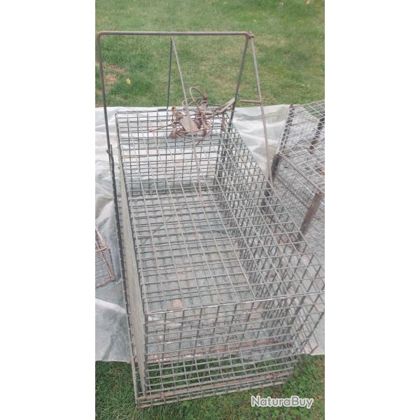 Pour piegeur Cage  renard