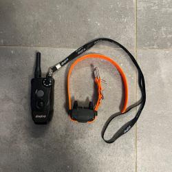 collier de dressage chien