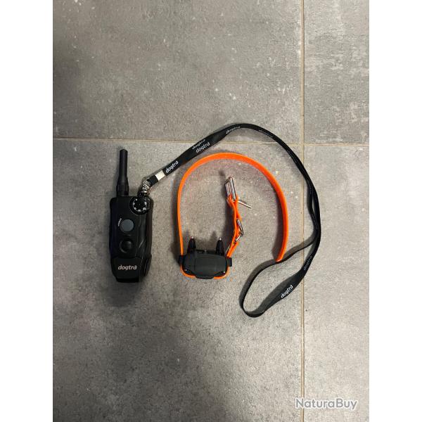 collier de dressage chien