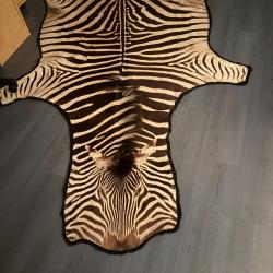 Vends peau de zèbre de burchnell