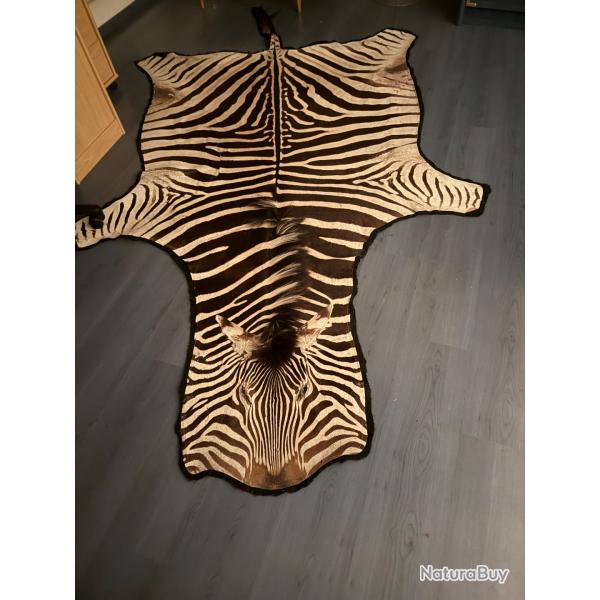 Vends peau de zbre de burchnell