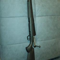 Carabine sauvage  243