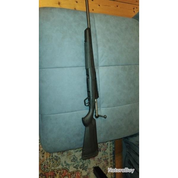 Carabine sauvage  243