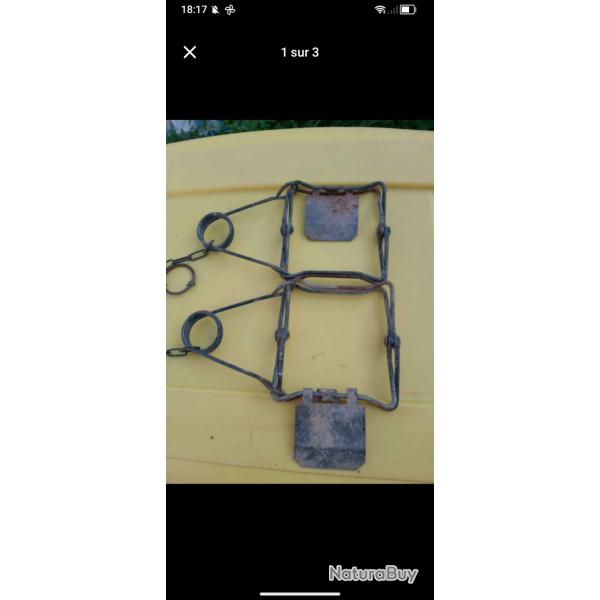 Piges en X 13*13  pallette