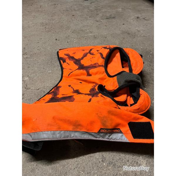 Gilet protection chien