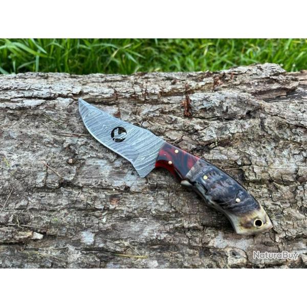 Couteau COQ FRANCAIS damas forg LLF corne de blier 20cm rouge enchre