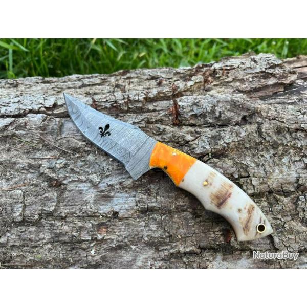 Couteau ROYAL damas forg LLF corne de blier 20cm orang enchre