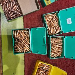 Environ 500 ogives .270 sierra speer