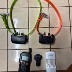 NUMAXES CANICOM 55002 CHIENS