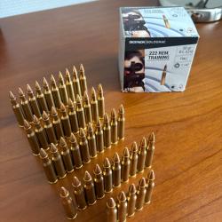 222 remington Solognac 45 balles