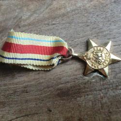 m&eacute;daille r&eacute;duction africa star