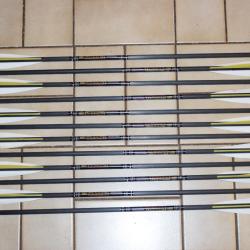 Lot de 12 Carreaux Traits Arbalète 22"