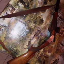 Carabine 30r express