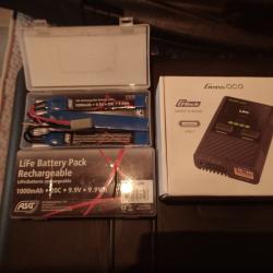 Lot Chargeur de batterie gens ace + lifepo