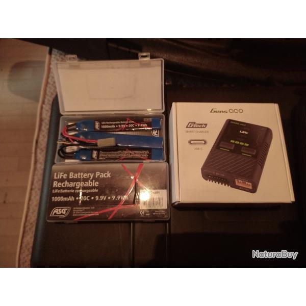 Lot Chargeur de batterie gens ace + lifepo