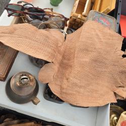 Ancienne Peau de cuir de gros lezard