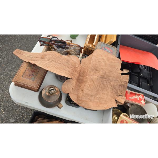 Ancienne Peau de cuir de gros lezard