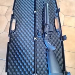 vends carabine linergie