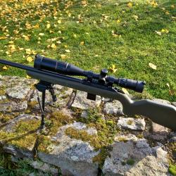 Carabine à verrou Diana R22