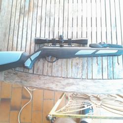 Carabine 19,9 joules avec lunette visée
