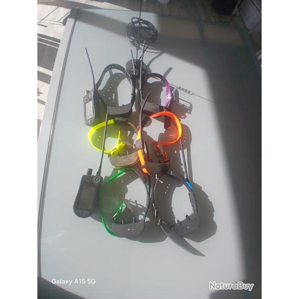 Centrale collier sportdog