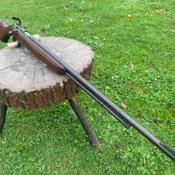 REMINGTON 512 avec peep sight à un euro sans prix de réserve