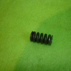 Ressort d'inertie pour Franchi ASSO