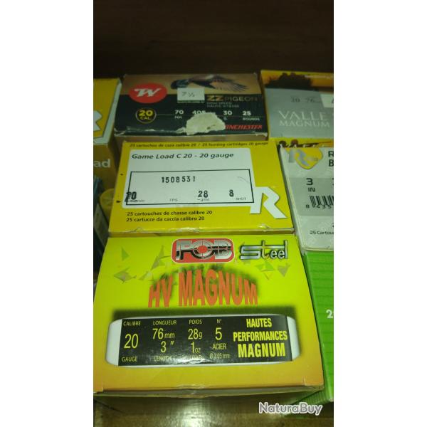 Lot de Munitions calibre 20