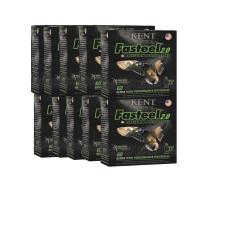 250 CARTOUCHES KENT FAST STEEL HP 12MAG 36G BOURRE JUPE CARTON 10 boites de 25 munitions go
