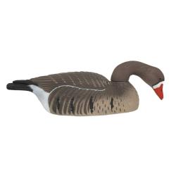 6 COQUILLES OIE RIEUSE HD GAGNAGE go