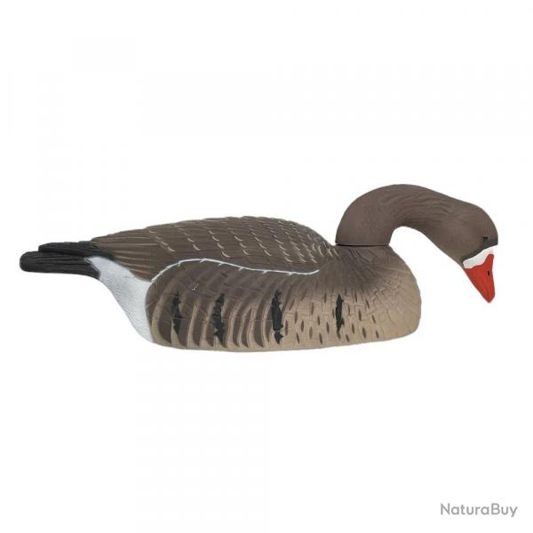 6 COQUILLES OIE RIEUSE HD GAGNAGE go