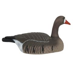 6 COQUILLES OIE RIEUSE HD MANGEUSE go