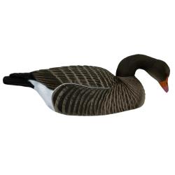 6 COQUILLES OIE CENDREE HD MANGEUSE go