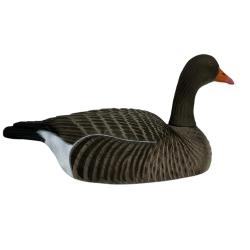 6 COQUILLES OIE CENDREE HD GAGNAGE go