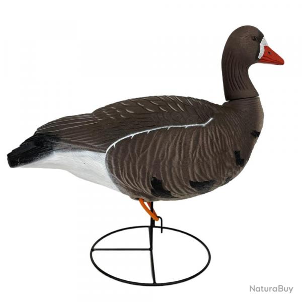 6 OIES RIEUSE HD SUR PATTES GAGNAGE go