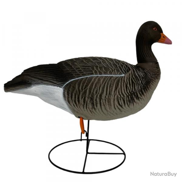 6 OIES CENDREE HD SUR PATTES GAGNAGE go