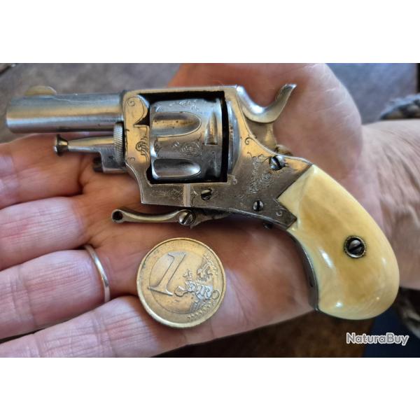 Minuscule 22 Short percussion annulaire PN en superbe etat d'origine APTE AUX TIRS