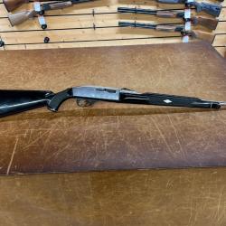 Remington nylon 66 en 22lr enchère 1