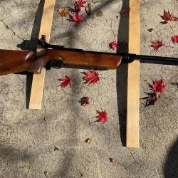 Carabine à plomb Diana