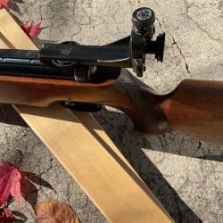 Carabine &agrave; plomb Diana